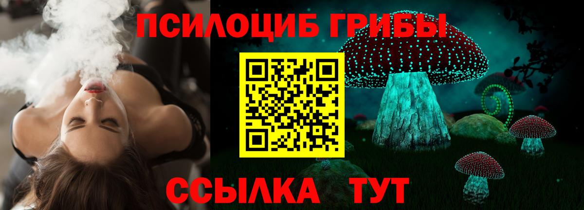 Псилоцибиновые грибы Cubensis Лысьва